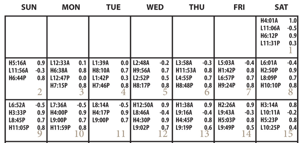 TOJ’s Texas Tide Info