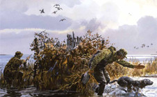 Hunters wading through water with hunting dogs in a marshland.