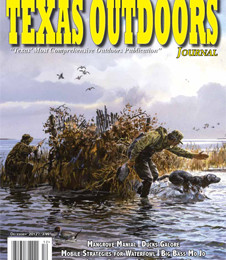 Hunters wading through water with hunting dogs in a marshland.