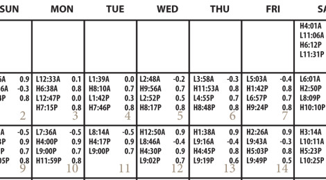 Partial weekly schedule with times and activities listed for Tuesday to Thursday.