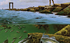 Cover of Texas Outdoors Journal featuring alligator and fish in a wetland.