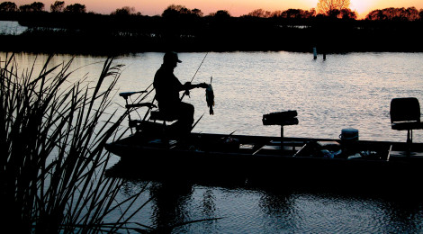 Happy, Happy Fishing