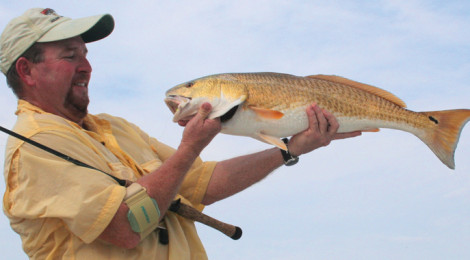 The Texas Redfish Transition