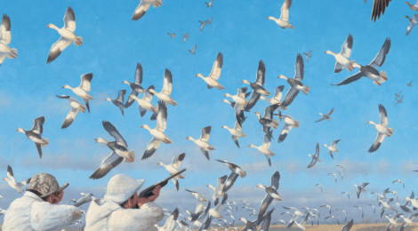 Hunters releasing doves at a Texas Outdoors event under a clear blue sky.