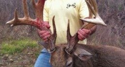 A man holding deer.