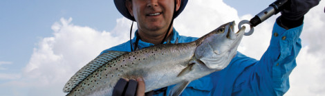 Soft Approach for Trophy Specks