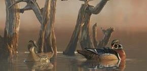 Ducks perched on branches over water.