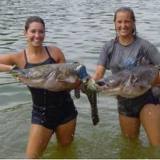 Iowa Senate committee rejects noodling proposal