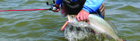 Great Lures for Trout & Reds