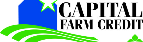 Logo featuring a green and white star with blue and green swooshes.