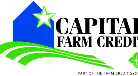 Logo featuring a green and white star with blue and green swooshes.