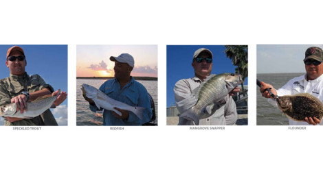 Lower Laguna Madre Variety