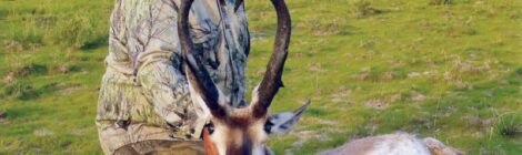 Hunter with antelope in grassy field.