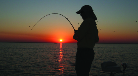 High & Dry for Trout and Reds