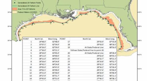 Map of shallow-water grouper time area closure.