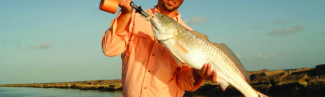 Upper Coast Jetties Grab-Bag