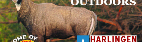 Bull elk with text promoting Harlin Outdoors and Bass Pro Shops.