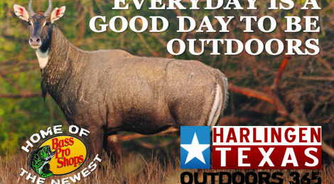 Bull elk with text promoting Harlin Outdoors and Bass Pro Shops.