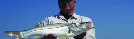 Snook, Snapper & Speckled Trout