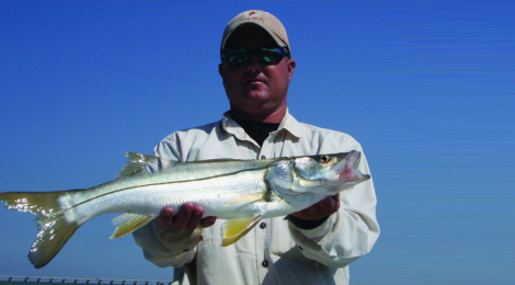 Snook, Snapper & Speckled Trout
