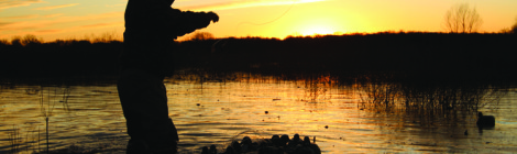 Duck Hunting —It’s all about Decoys