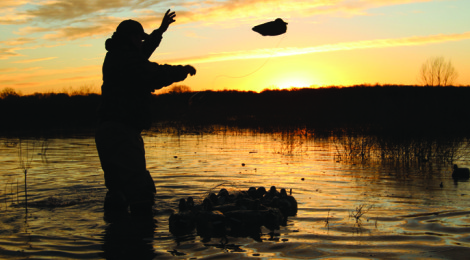 Duck Hunting —It’s all about Decoys