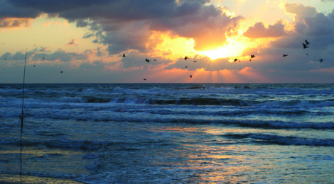 Winter Fishing Texas’ Tropics