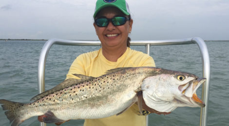 Lower Laguna Madre’s September Variety