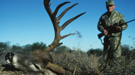 Five “Ps” of Deer Hunting