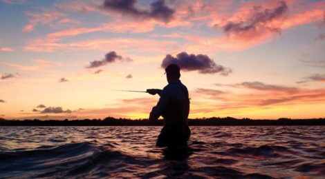 West Galveston Bay’s “Big 3”