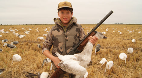 Goose Spreads Across Texas