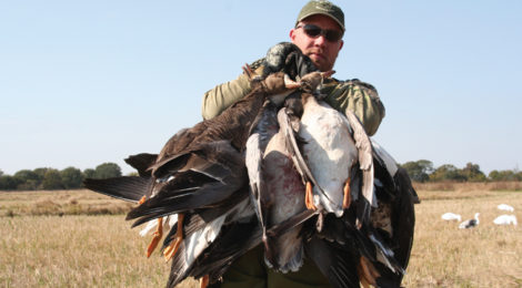 TEXAS-STYLE GOOSE HUNTING