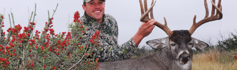 FINDINGS & FUTURE OF WHITETAIL DEER STUDIES