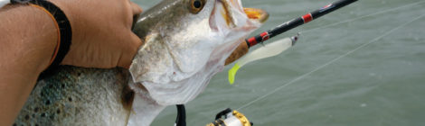 Angler holding a freshly caught fish with a lure in its mouth.