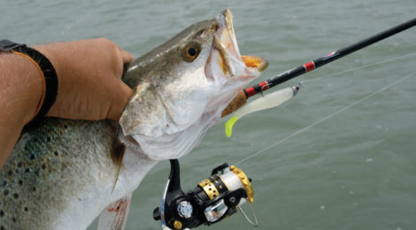 Angler holding a freshly caught fish with a lure in its mouth.