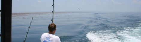 Man fishing alone on a calm sea.