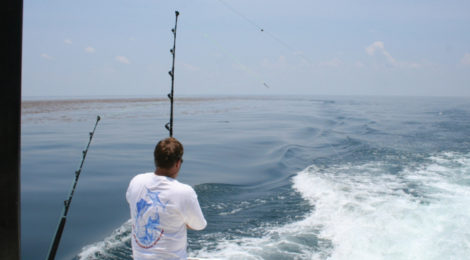 Man fishing alone on a calm sea.