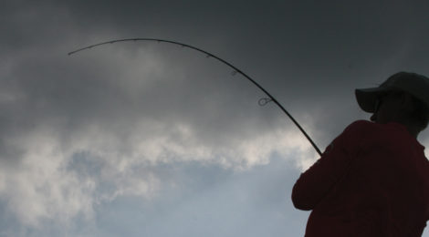 Inshore Angling in Adverse Conditions