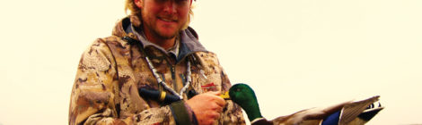 From Greenheads to Redheads
