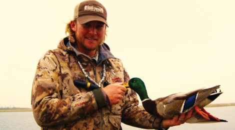 From Greenheads to Redheads