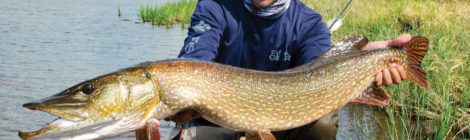 Man proudly holds a large fish near a riverbank on a sunny day.