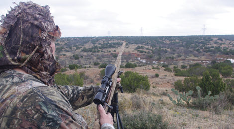 West Texas Coyote Challenge