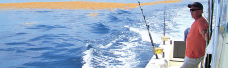 PRIME TIME OFFSHORE FISHING BEGINS