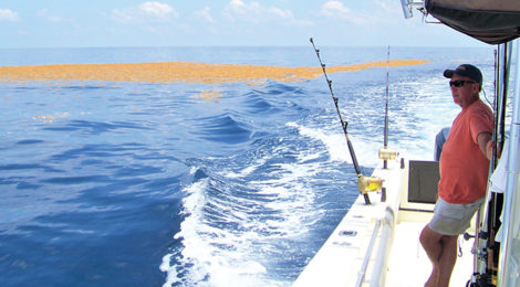 PRIME TIME OFFSHORE FISHING BEGINS