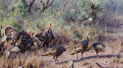 A group of wild turkeys walking through dry brush in a natural setting.