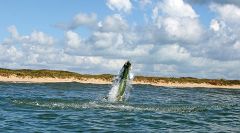 South Padre Island Angling Adventures