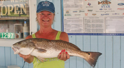 “Redfish Wars” to STAR