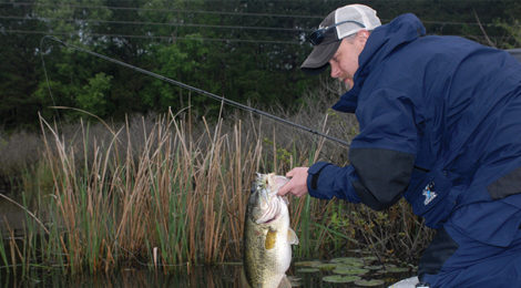 Swim Jig Country