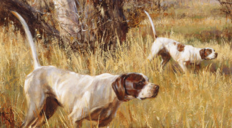 Two hunting dogs in tall grass, alert and focused.