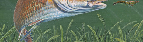 Cover of Texas Outdoors Journal featuring a largemouth bass in clear water.
